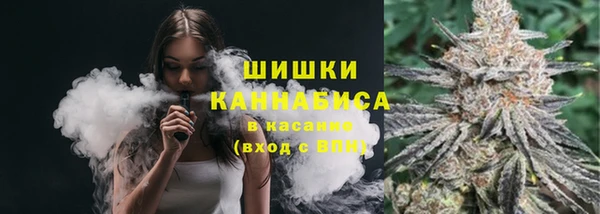 индика Липки