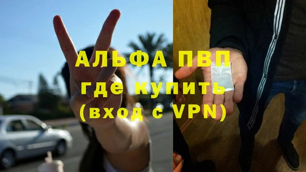 индика Липки