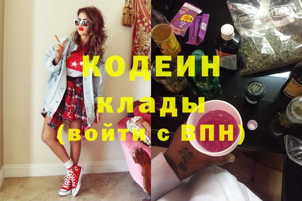 индика Липки