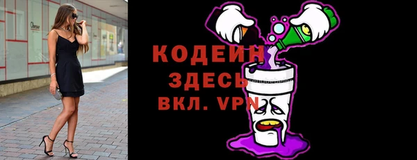 индика Липки
