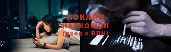 индика Липки