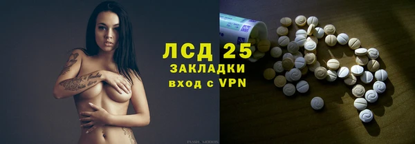 индика Липки