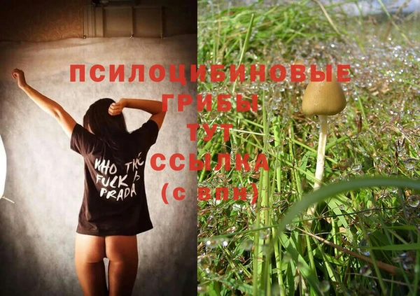 индика Липки