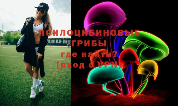 индика Липки