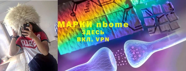 индика Липки