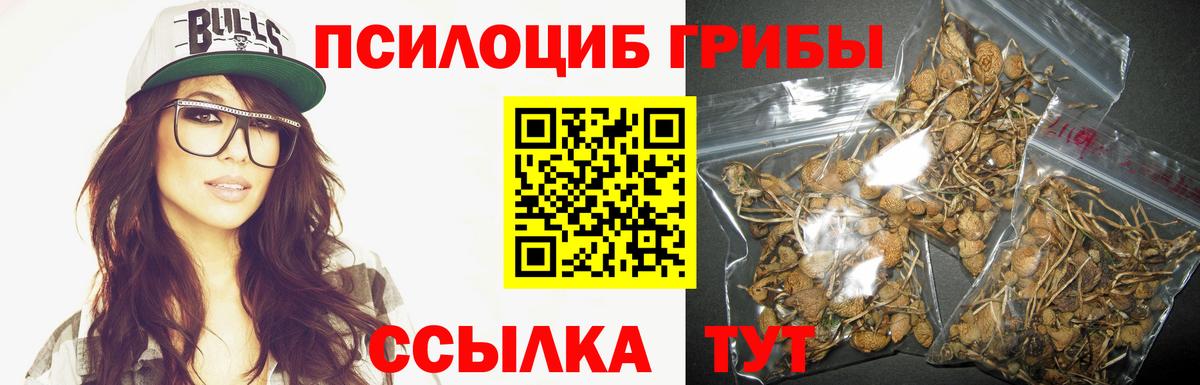 Псилоцибиновые грибы Cubensis Абинск