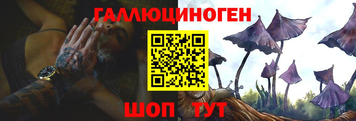 Псилоцибиновые грибы GOLDEN TEACHER  Вход с VPN  Псилоцибиновые грибы MAGIC MUSHROOMS  Абинск 